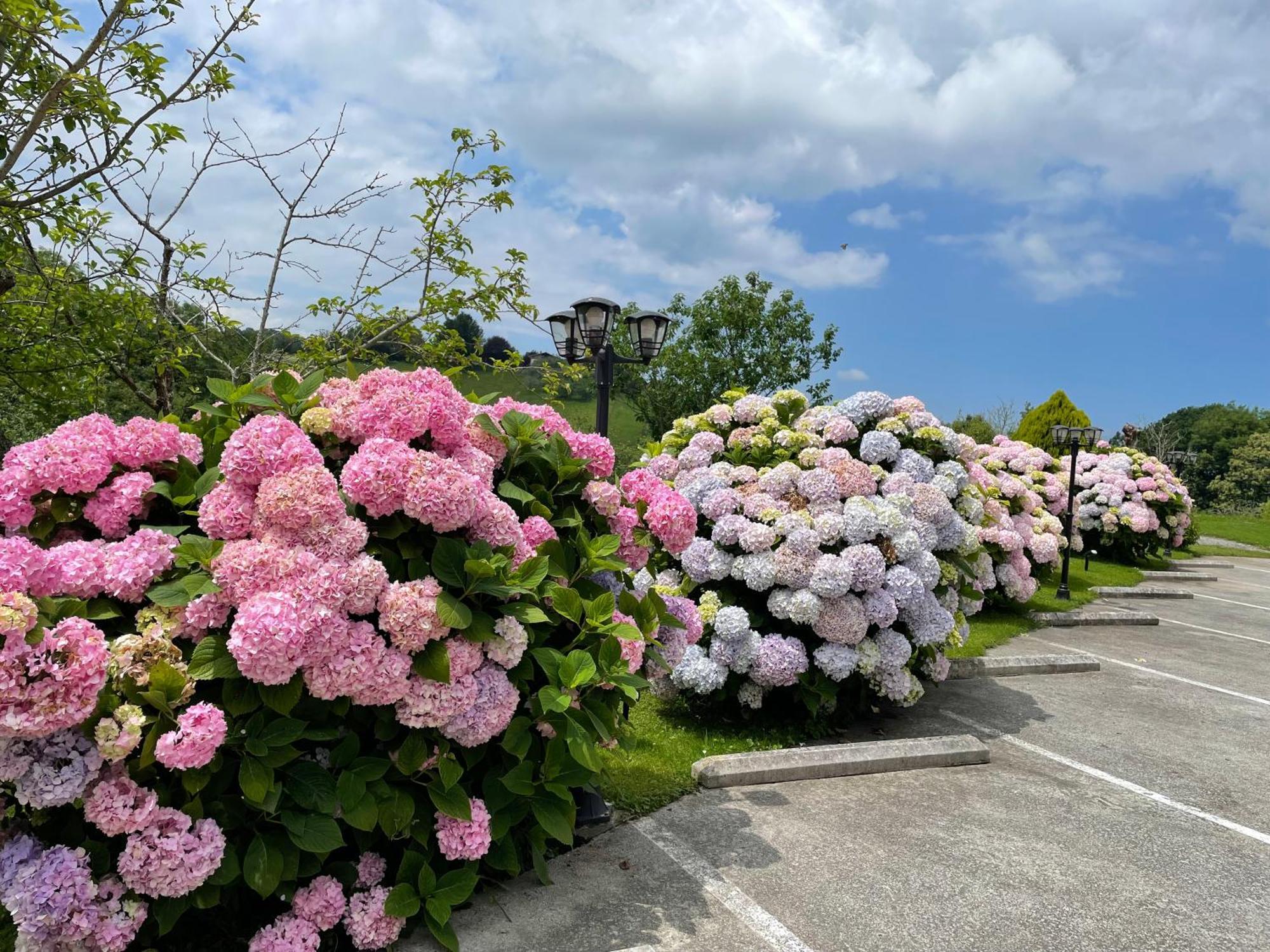 Agroturismo Erretegi Haundi Oiartzun Exterior foto